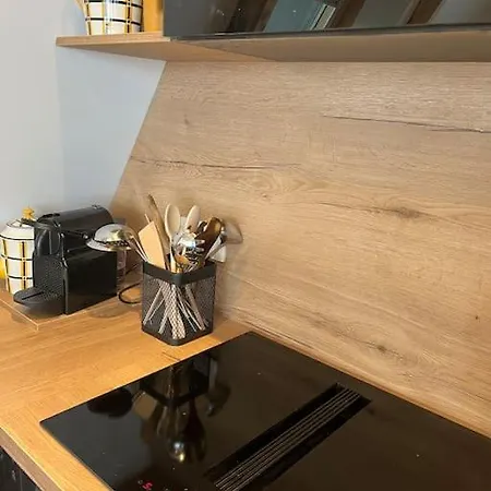 6-8 Pers St Lary Alt1700m -100mdespistes Classe 4 Etoiles