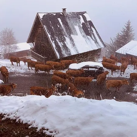 6-8 Pers St Lary Alt1700m -100mdespistes Classe 4 Etoiles * Saint-Lary-Soulan