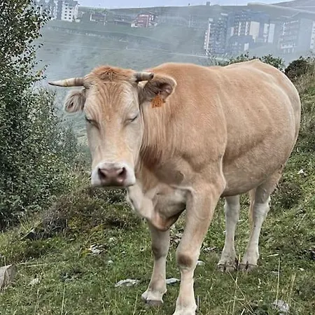 6-8 Pers St Lary Alt1700m -100mdespistes Classe 4 Etoiles Chalet