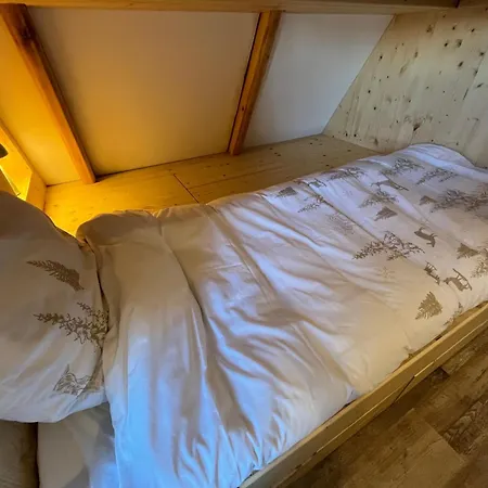 Chalet 6-8 Pers St Lary Alt1700m -100mdespistes Classe 4 Etoiles *