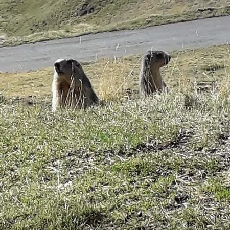 Chalet 6-8 Pers St Lary Alt1700m -100mdespistes Classé 4 étoiles