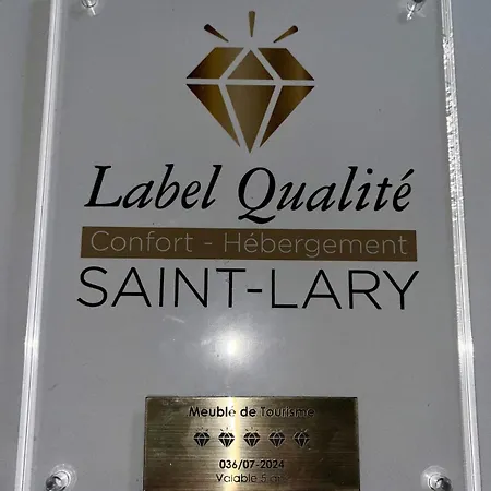 6-8 Pers St Lary Alt1700m -100mdespistes Classé 4 étoiles Chalet *