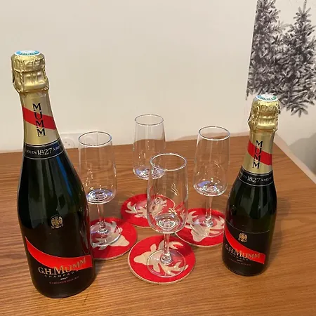 Chalet 6-8 Pers St Lary Alt1700m -100mdespistes Classé 4 étoiles