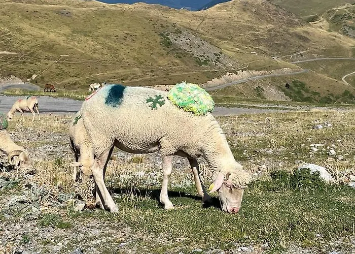 6-8 Pers St Lary Alt1700m -100mdespistes Classe 4 Etoiles * Saint-Lary-Soulan