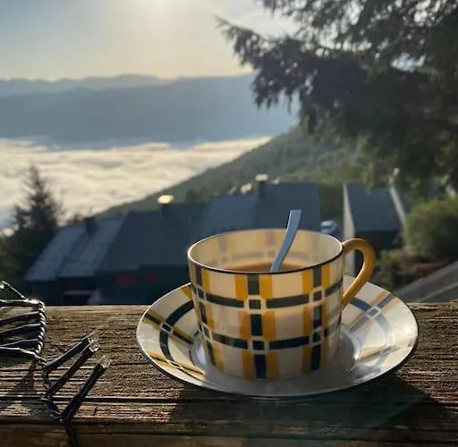 6-8 Pers St Lary Alt1700m -100mdespistes Classe 4 Etoiles Alpesi faház Saint-Lary-Soulan