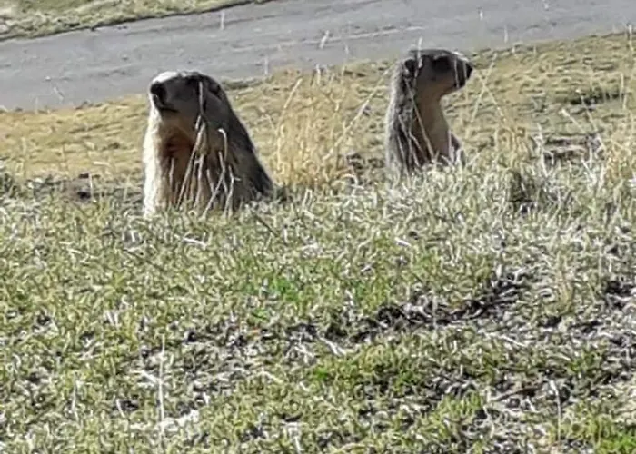 Alpesi faház 6-8 Pers St Lary Alt1700m -100mdespistes Classe 4 Etoiles