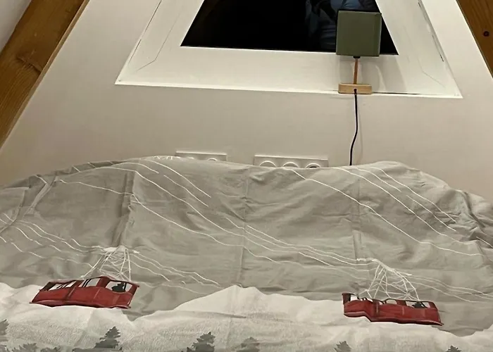 6-8 Pers St Lary Alt1700m -100mdespistes Classe 4 Etoiles