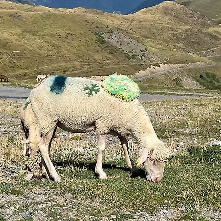 6-8 Pers St Lary Alt1700m -100mdespistes Classé 4 étoiles * Saint-Lary-Soulan