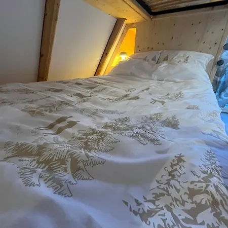 Chalet 6-8 Pers St Lary Alt1700m -100mdespistes Classé 4 étoiles