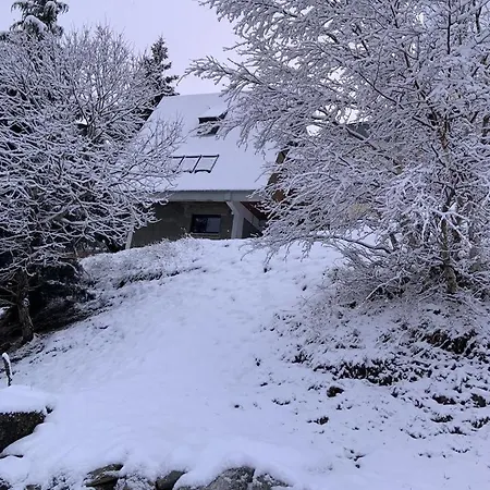 木屋 St Lary 1700m 4etoiles 9pers 100m Des Pistes 圣拉里苏朗