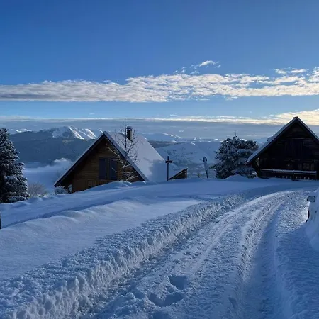 6-9 Pers St Lary Alt1700m -100mdespistes Classe 4 Etoiles Chalet Saint-Lary-Soulan