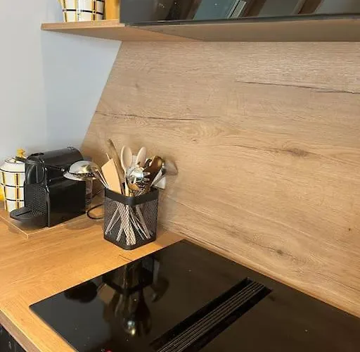 6-8 Pers St Lary Alt1700m -100mdespistes Classe 4 Etoiles