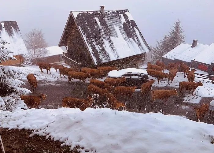 6-8 Pers St Lary Alt1700m -100mdespistes Classe 4 Etoiles * Saint-Lary-Soulan