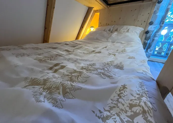 Chalet 6-8 Pers St Lary Alt1700m -100mdespistes Classe 4 Etoiles