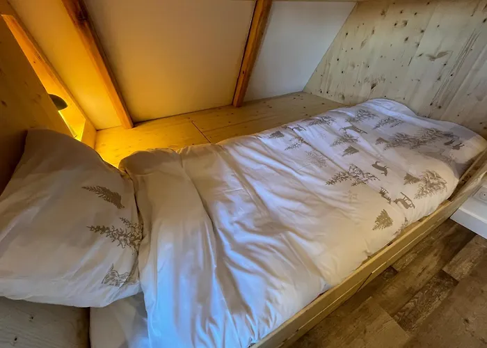 Chalet 6-8 Pers St Lary Alt1700m -100mdespistes Classe 4 Etoiles *